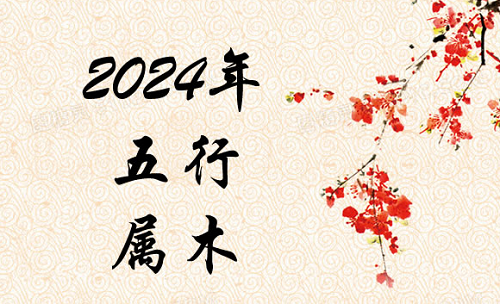 2024五行属什么