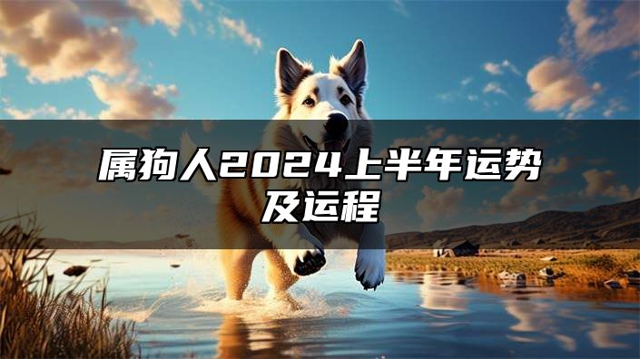 属狗人2024上半年运势及运程 属狗的人2024年上半年运势及运程