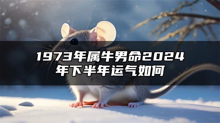 1973年属牛男命2024年下半年运气如何