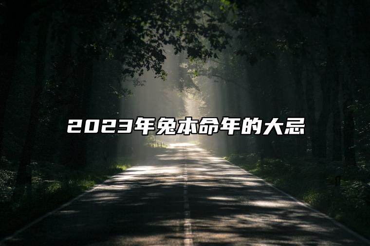 2023年兔本命年的大忌 羊形饰品招