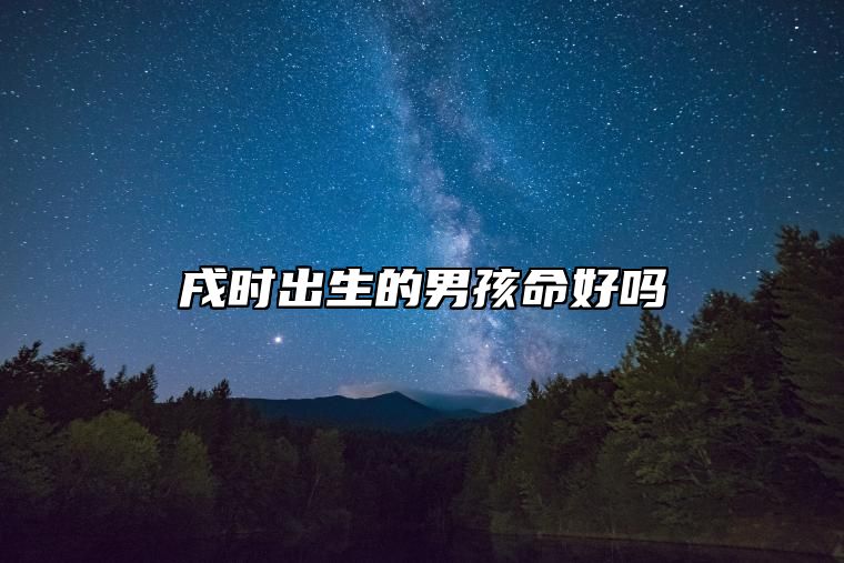 戌时出生的男孩命好吗