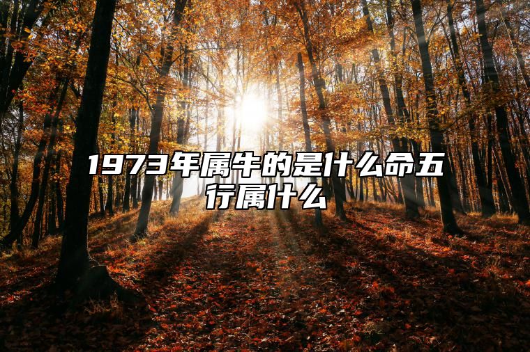 1973年属牛的是什么命五行属什么 1973年属牛人2024年全年运势详解