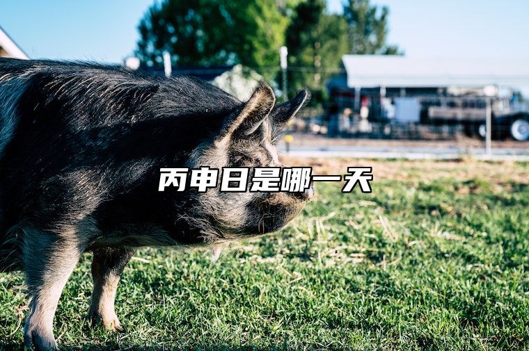 丙申日是哪一天 丙申日柱的男命