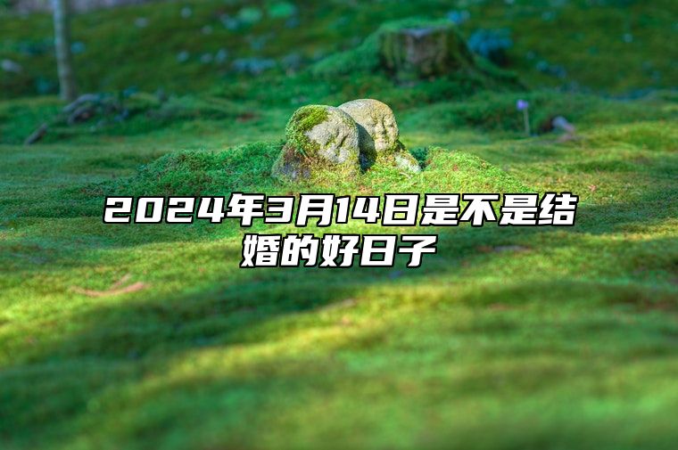 2024年3月14日是不是结婚的好日子？