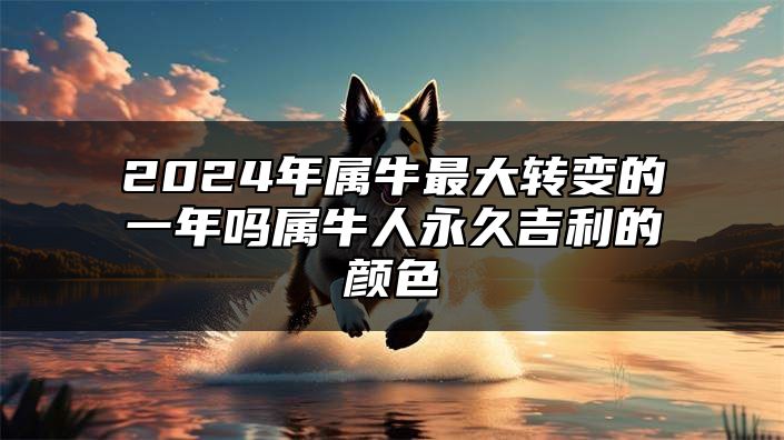 2024年属牛最大转变的一年吗？属牛人永久吉利的颜色