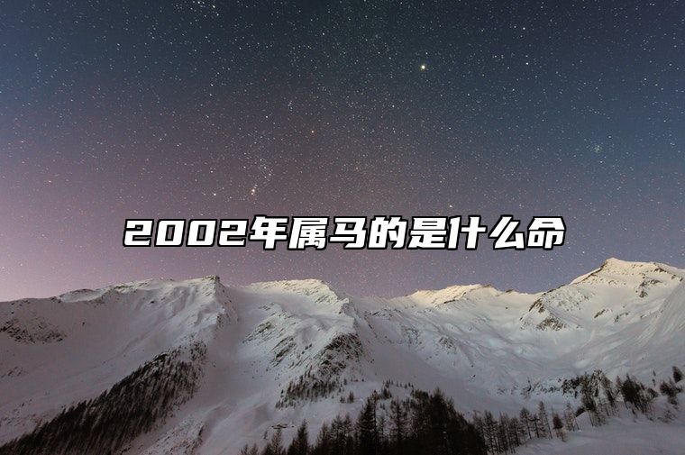 2002年属马的是什么命 2002属马2024年运势及运程详解