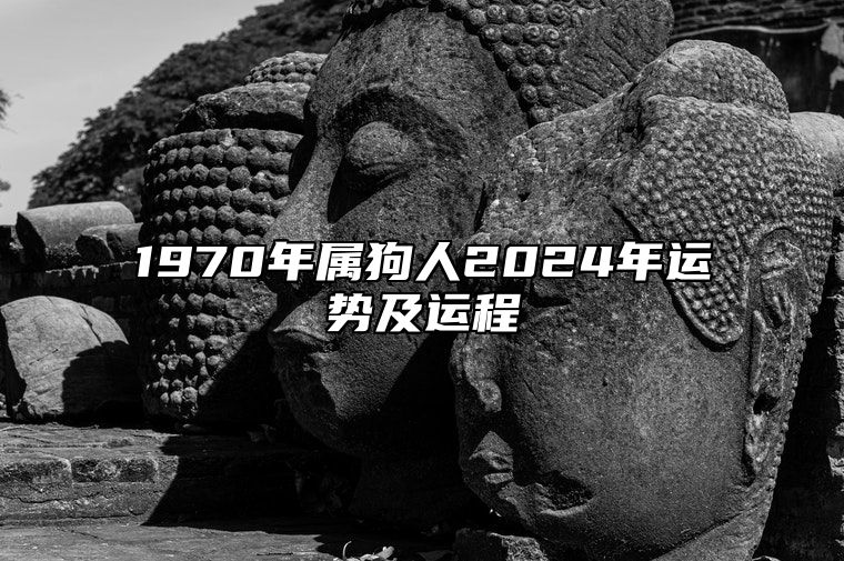 1970年属狗人2024年运势及运程 属狗人十二月份的运势情况