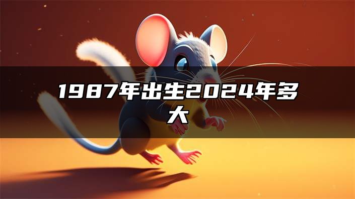 1987年出生2024年多大 1987年出生属什么生肖