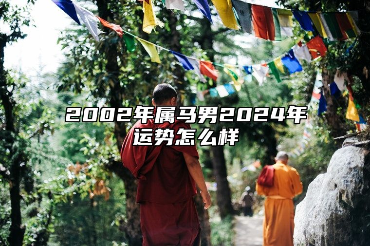 2002年属马男2024年运势怎么样 2002年属马男2024年