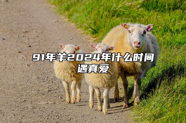 91年羊2024年什么时间遇真爱 1991年2024年运势