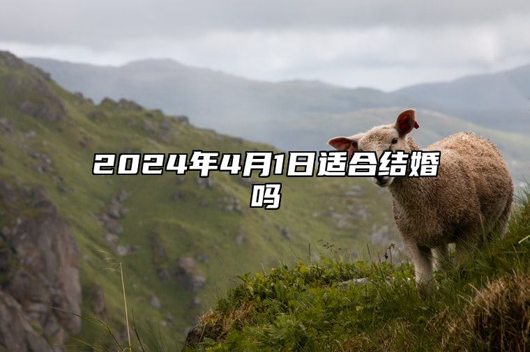 2024年4月1日适合结婚吗？今天结婚好不好