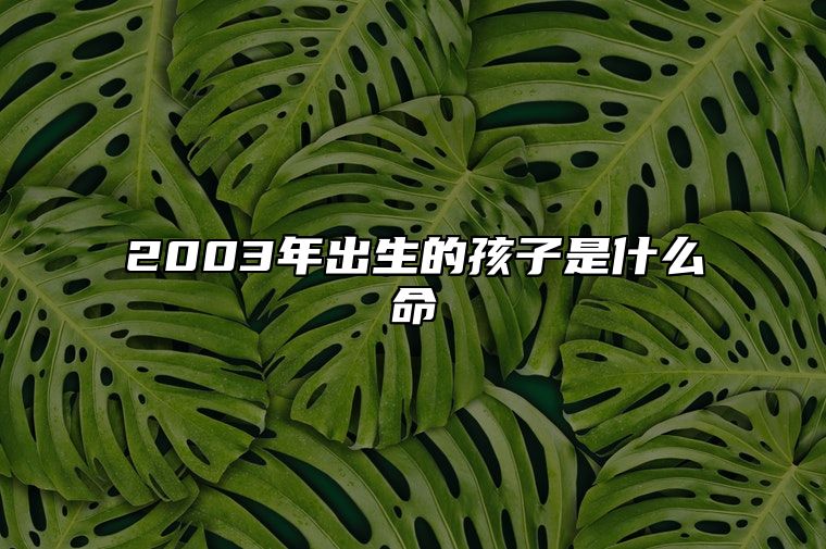 2003年出生的孩子是什么命 2003年属羊的是什么命