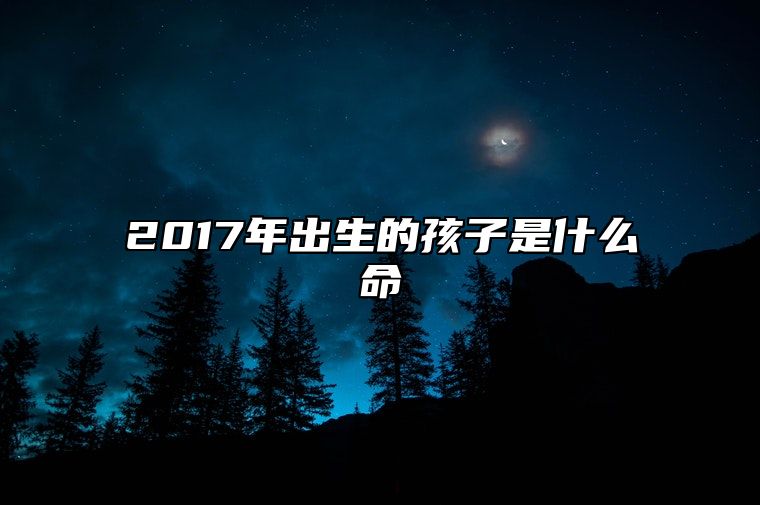 2017年出生的孩子是什么命 2017年属鸡是什么命