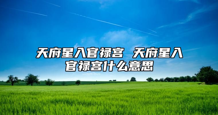 天府星入官禄宫 天府星入官禄宫什么意思