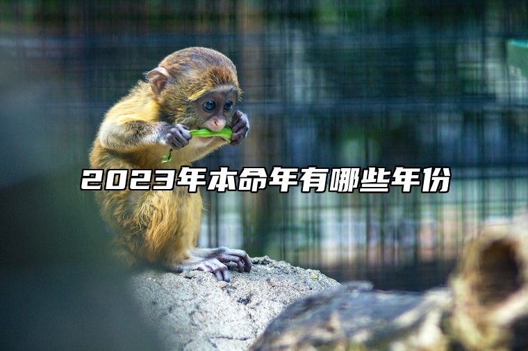 2023年本命年有哪些年份 属兔本命年运势如何