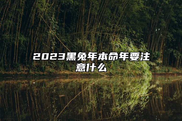 2023黑兔年本命年要注意什么 有什么禁忌