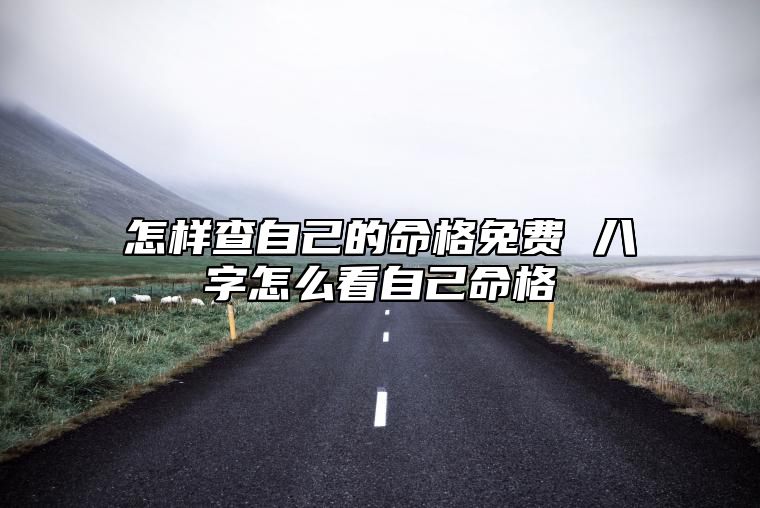 怎样查自己的命格免费 八字怎么看自己命格