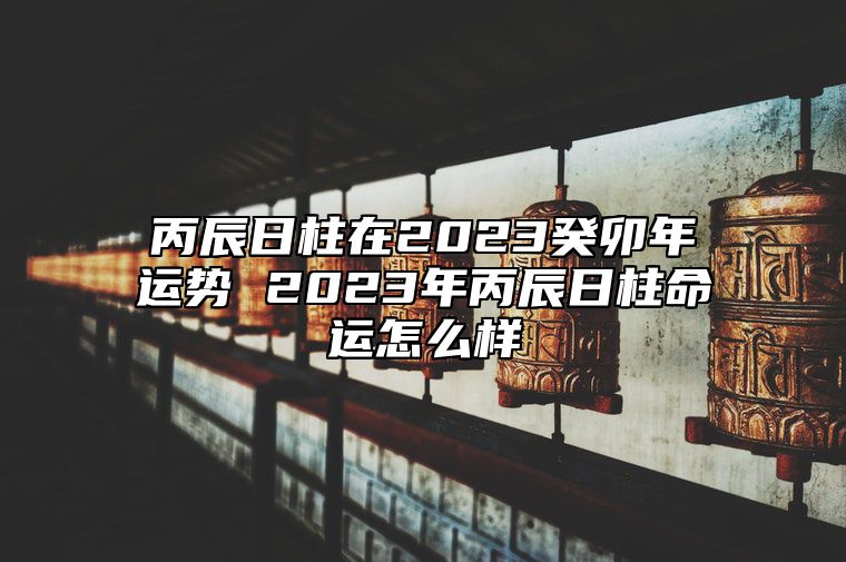 丙辰日柱在2023癸卯年运势 2023年丙辰日柱命运怎么样