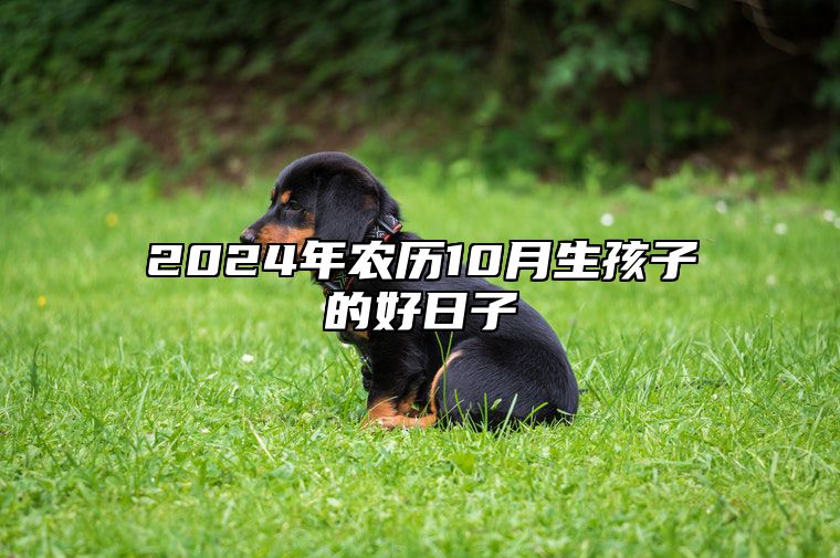 2024年农历10月生孩子的好日子 今日生孩子黄历查询详解