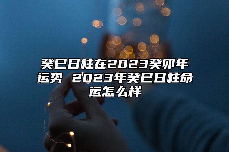 癸巳日柱在2023癸卯年运势 2023年癸巳日柱命运怎么样