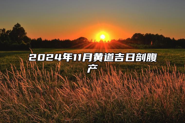 2024年11月黄道吉日剖腹产 剖腹产吉日查询