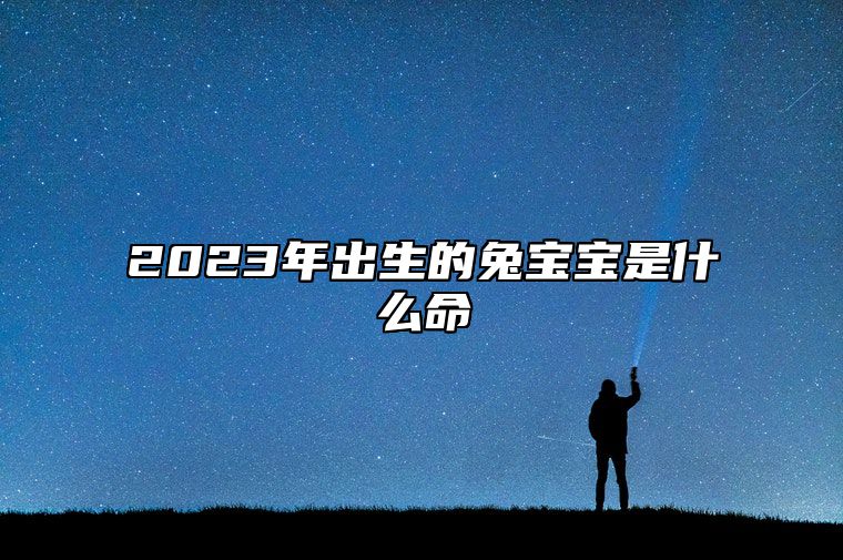 2023年出生的兔宝宝是什么命 兔宝宝运势走向