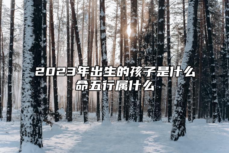 2023年出生的孩子是什么命五行属什么 水兔命宝宝运程