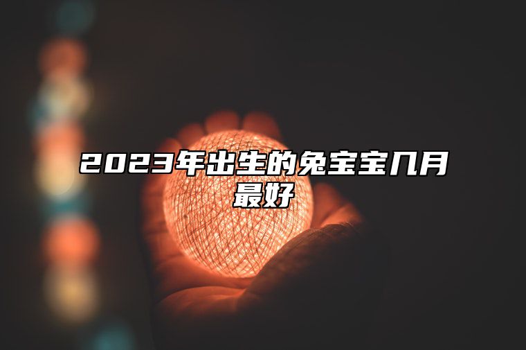 2023年出生的兔宝宝几月最好 农历10月做生意财运好