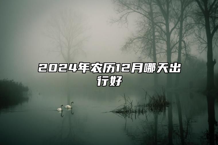 2024年农历12月哪天出行好 今日出行黄历查询详解