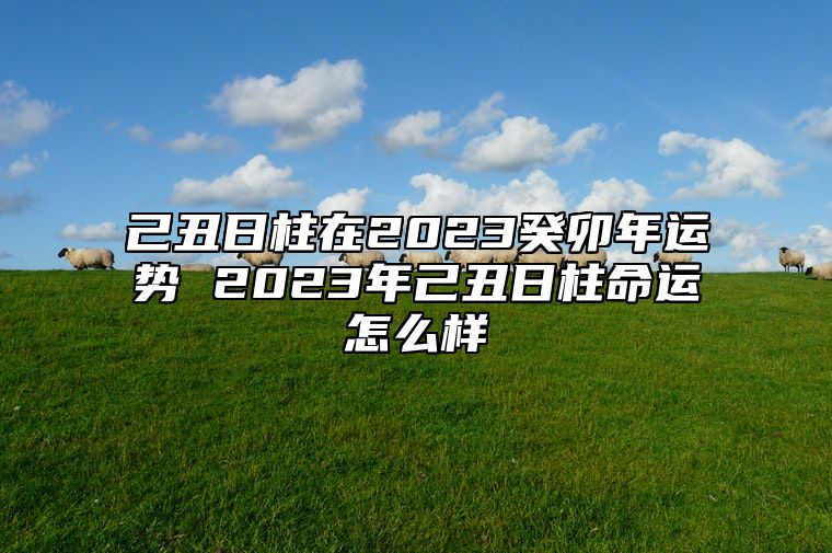 己丑日柱在2023癸卯年运势 2023年己丑日柱命运怎么样