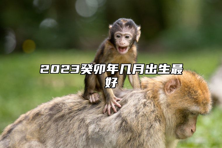 2023癸卯年几月出生最好 生于八月一生富贵