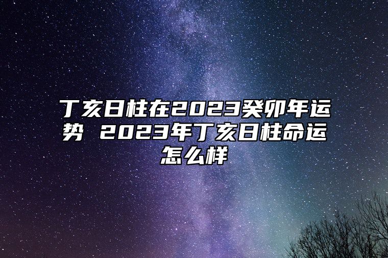 丁亥日柱在2023癸卯年运势 2023年丁亥日柱命运怎么样