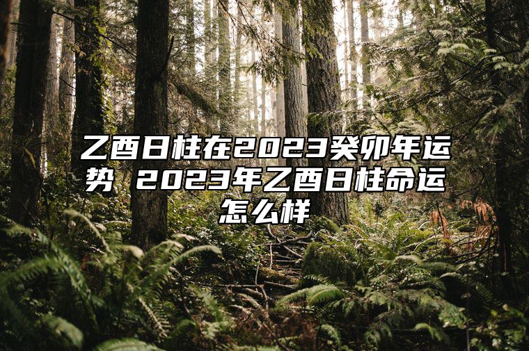 乙酉日柱在2023癸卯年运势 2023年乙酉日柱命运怎么样