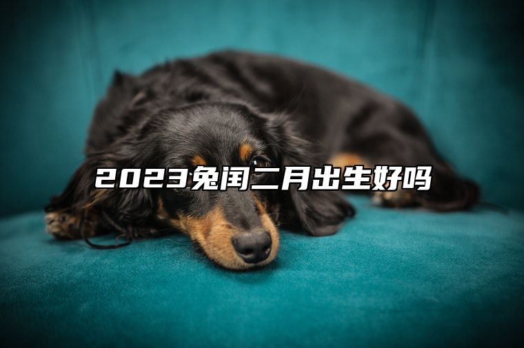 2023兔闰二月出生好吗 一生非常顺利