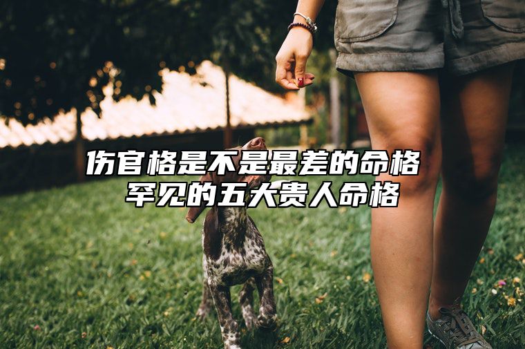 伤官格是不是最差的命格 罕见的五大贵人命格