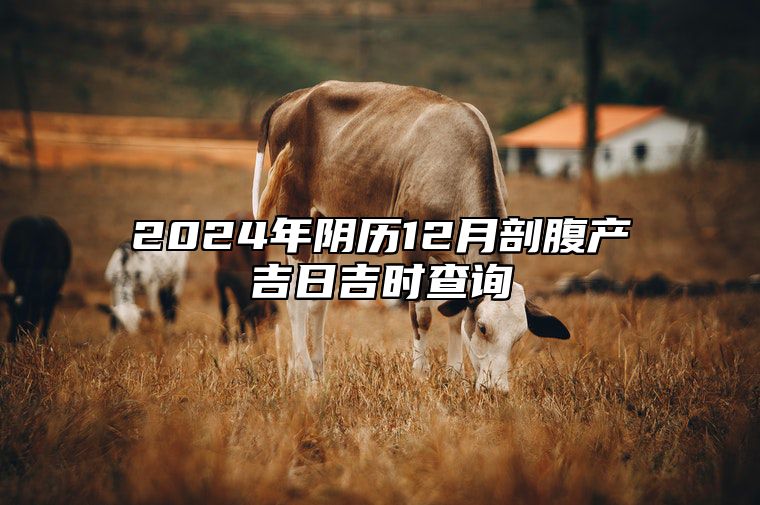 2024年阴历12月剖腹产吉日吉时查询 是剖腹产的吉日吗？