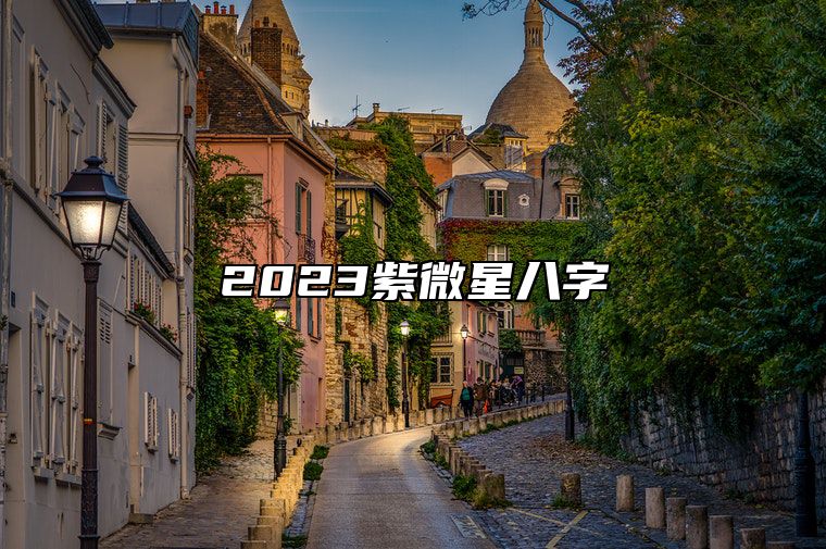 2023紫微星八字 癸卯兔年紫微星出生的时间