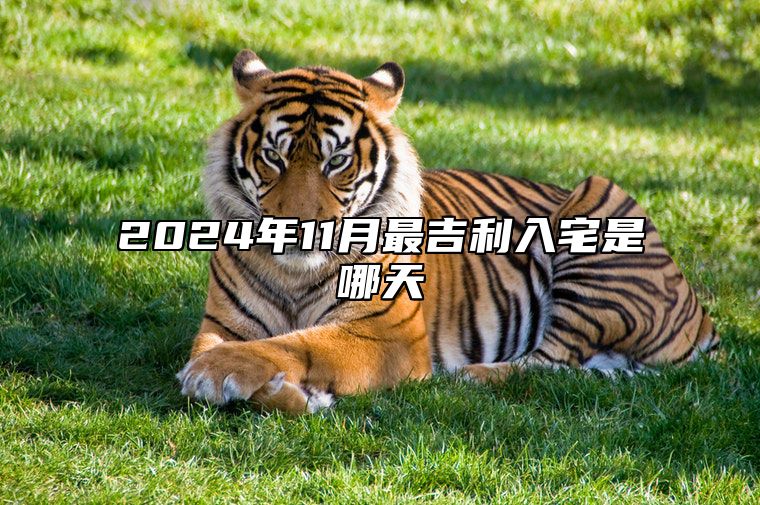 2024年11月最吉利入宅是哪天 入宅吉日查询