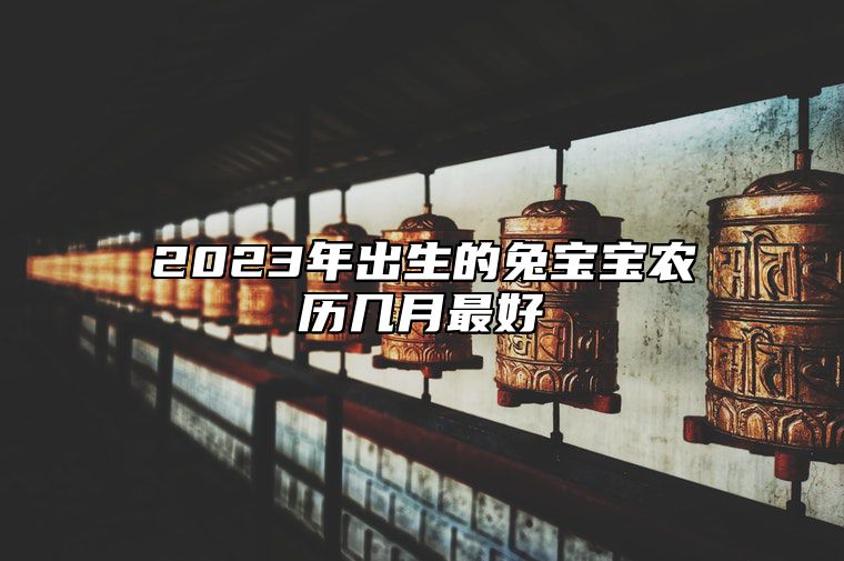 2023年出生的兔宝宝农历几月最好 生于农历七月身体健康