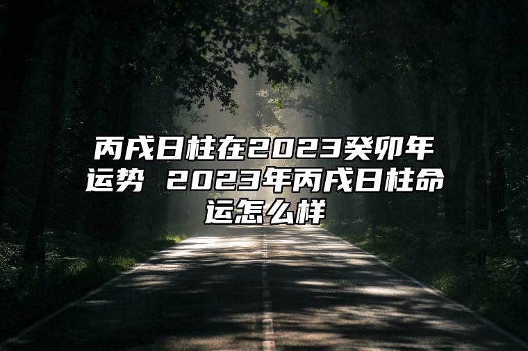 丙戌日柱在2023癸卯年运势 2023年丙戌日柱命运怎么样