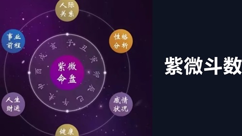 紫薇命盘主星