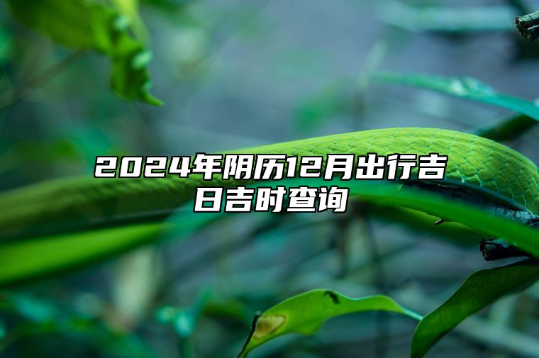 2024年阴历12月出行吉日吉时查询 是出行的吉日吗？