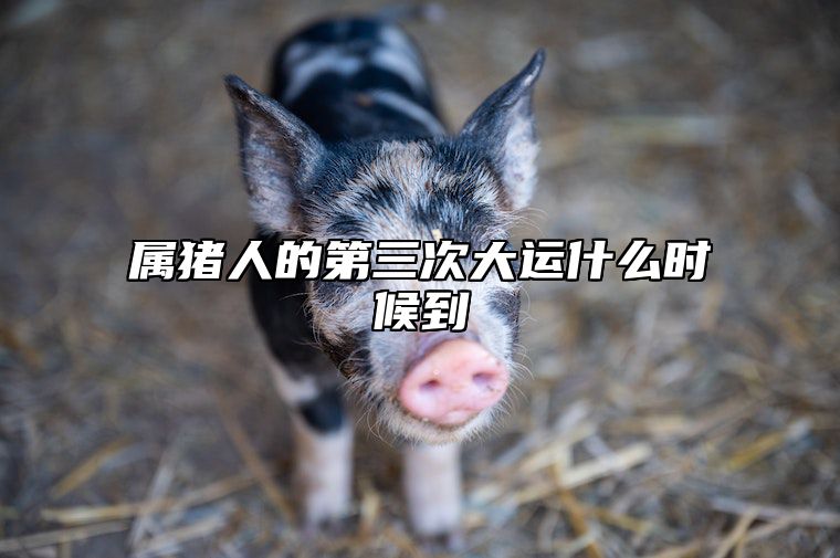 属猪人的第三次大运什么时候到 属猪的三年大运是指哪三年