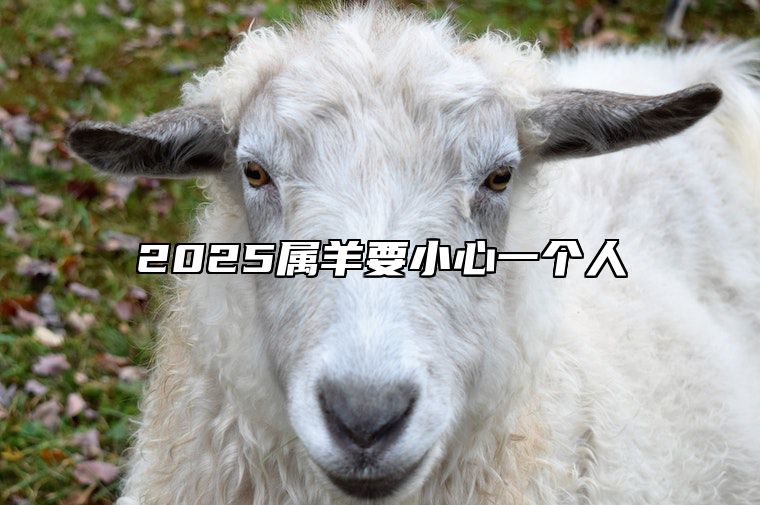 2025属羊要小心一个人 属羊2025运势及运程