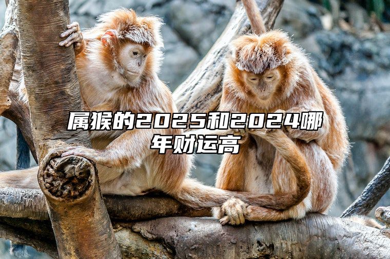 属猴的2025和2024哪年财运高 2025属猴人全年运势