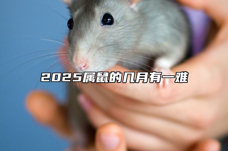 2025属鼠的几月有一难 2032属鼠什么命