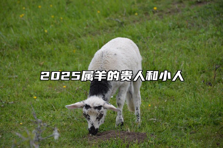 2025属羊的贵人和小人 2021年属羊的贵人和小人生肖