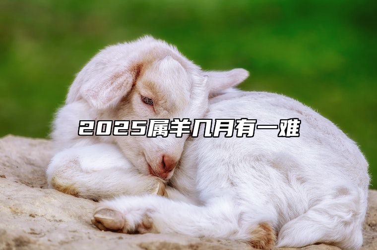 2025属羊几月有一难 2025属羊人的全年运势