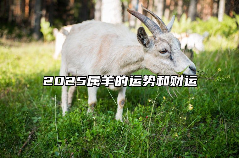 2025属羊的运势和财运 2025属羊人的全年运势