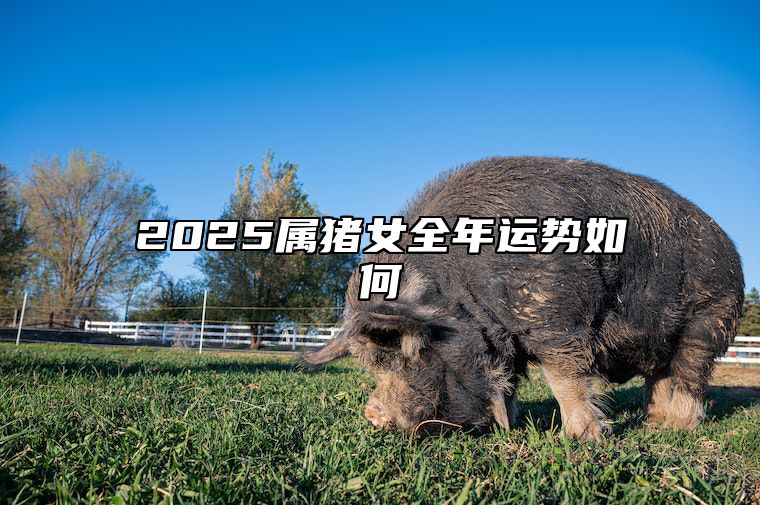 2025属猪女全年运势如何